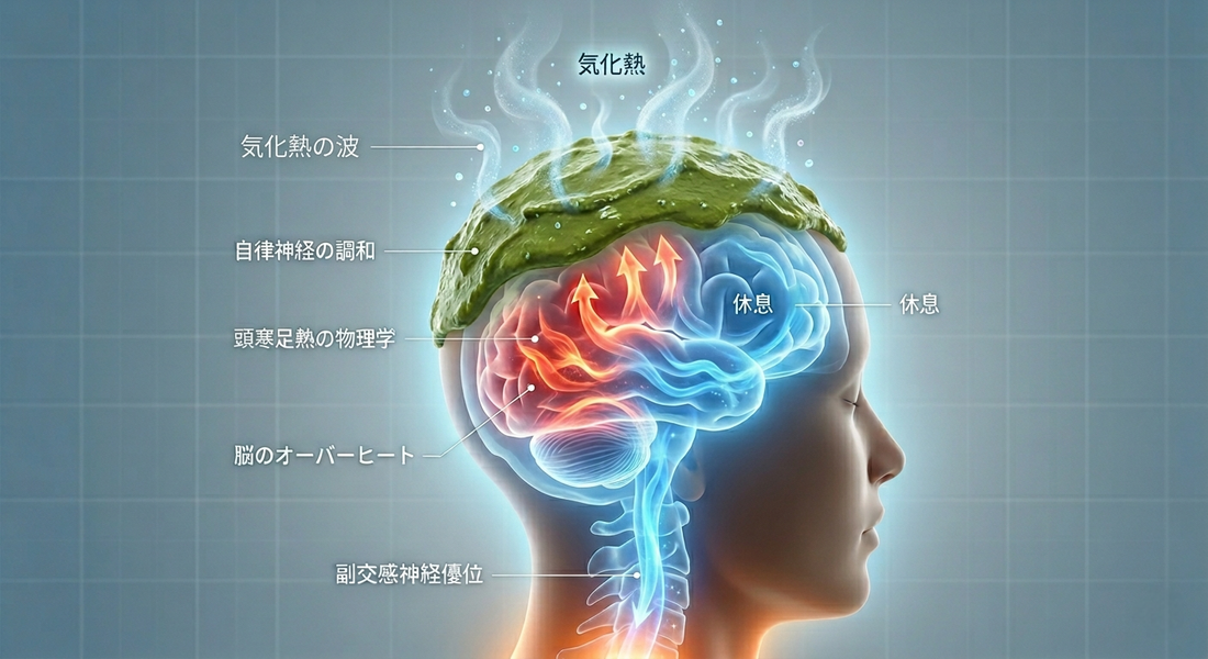 「頭寒足熱」の物理学――ヘナの気化熱がもたらす脳の休息と自律神経の調和