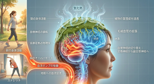 地肌という土壌を「耕す」――朝の鼓動がヘナの力を呼び覚ます
