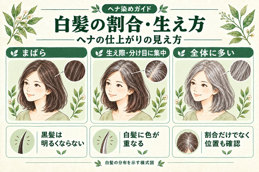 白髪の割合・生え方ガイドの図解。白髪がまばら、生え際・分け目に集中、全体に多い3パターンと、黒髪は明るくならず白髪に色が重なることを紹介。実際の発色見本ではなく白髪の分布を示す模式図。